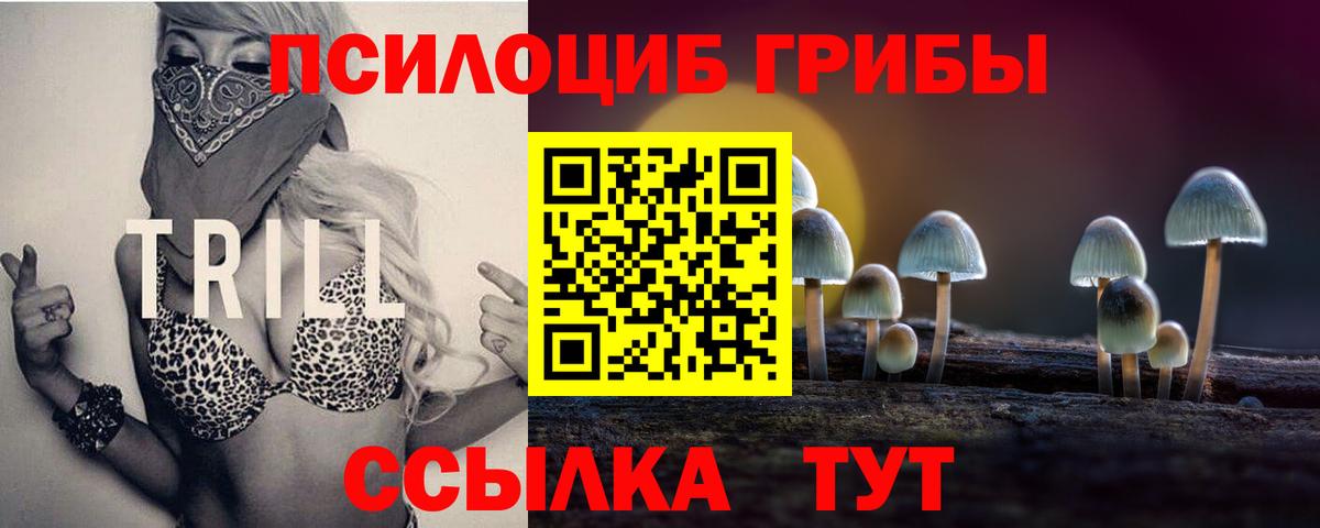 Псилоцибиновые грибы Psilocybe  Псилоцибиновые грибы мухоморы  Вход с VPN  Томск 