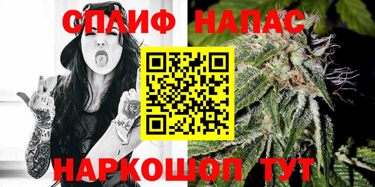 Бошки Шишки MAZAR Томск
